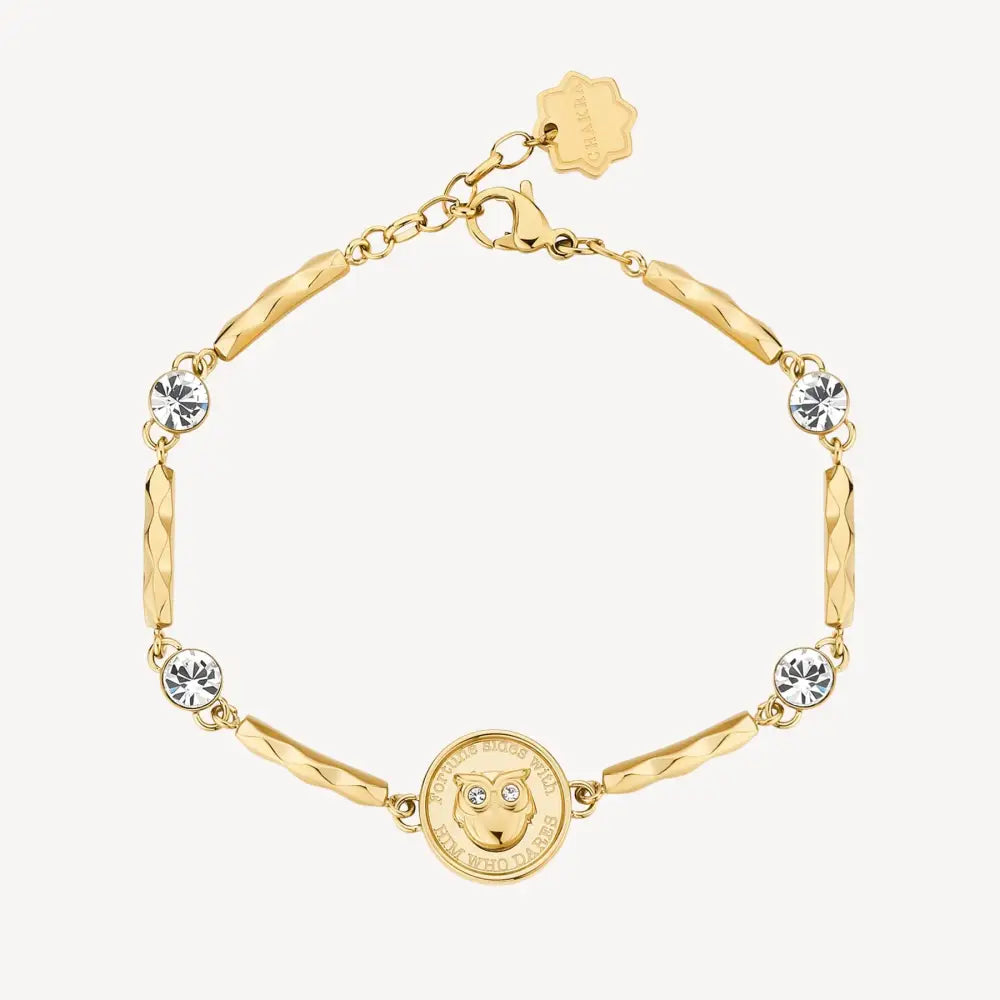 Bracciale Brosway donna Chakra Gufo BHKB122 con leone e cristalli
