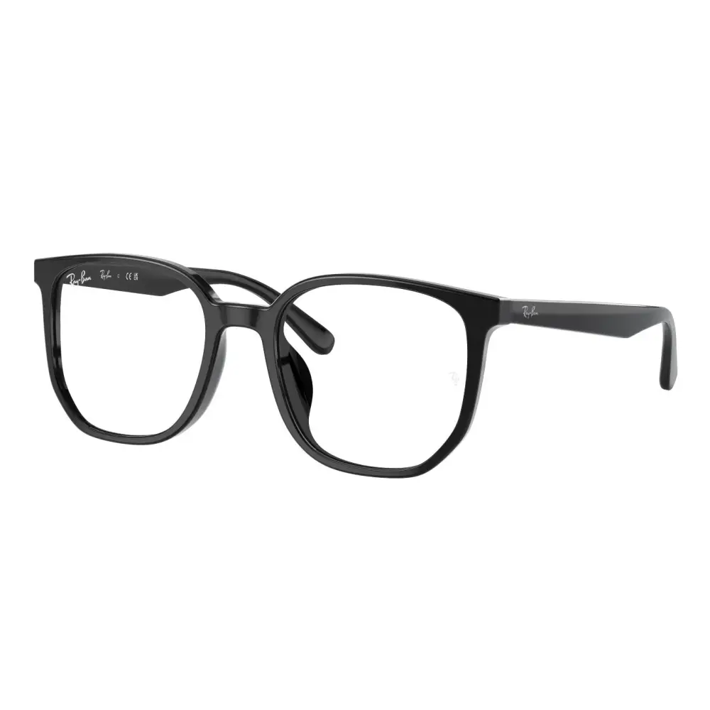 Occhiali Ray-Ban RB5411D unisex neri opachi 2000 54/20